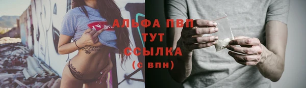 винт Надым