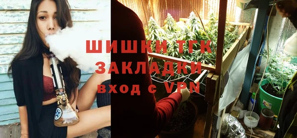 винт Надым
