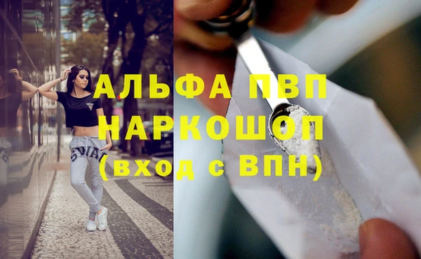 винт Надым