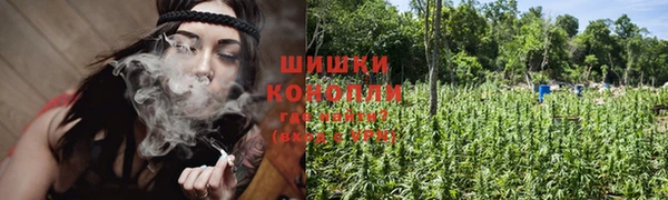 винт Надым