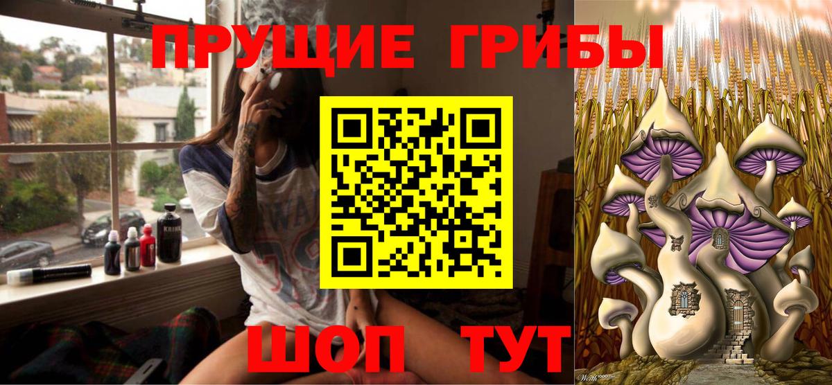 Александров  Галлюциногенные грибы Cubensis  Вход с VPN 