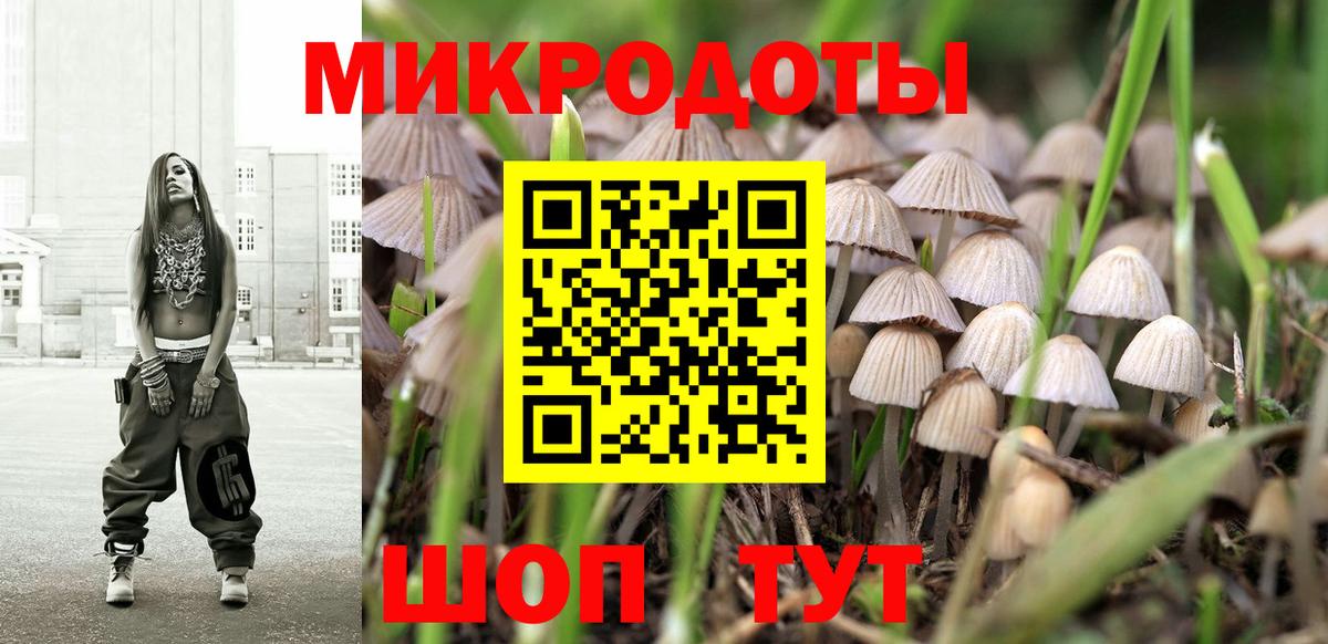 Псилоцибиновые грибы MAGIC MUSHROOMS Александров