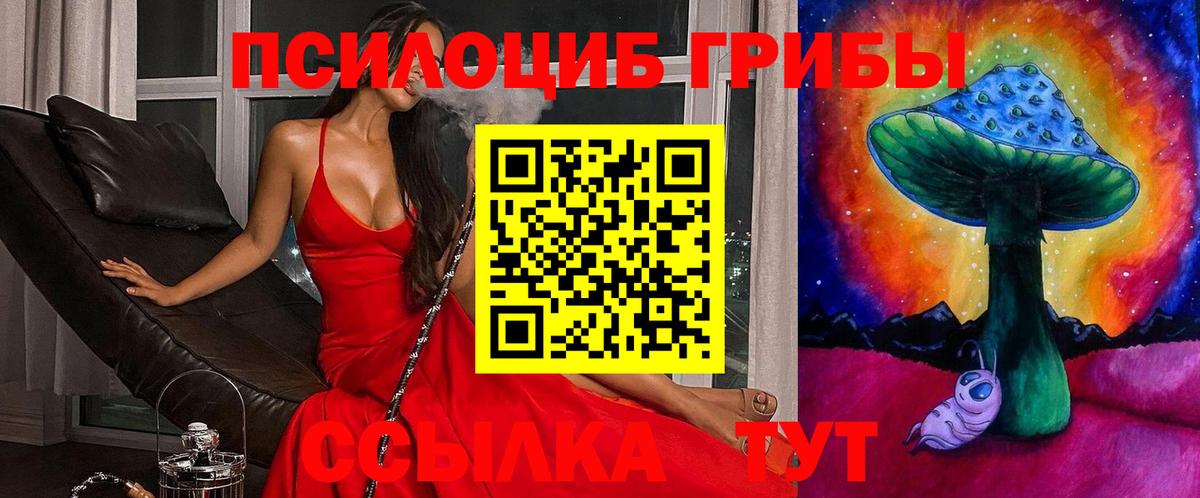 Псилоцибиновые грибы прущие грибы Александров